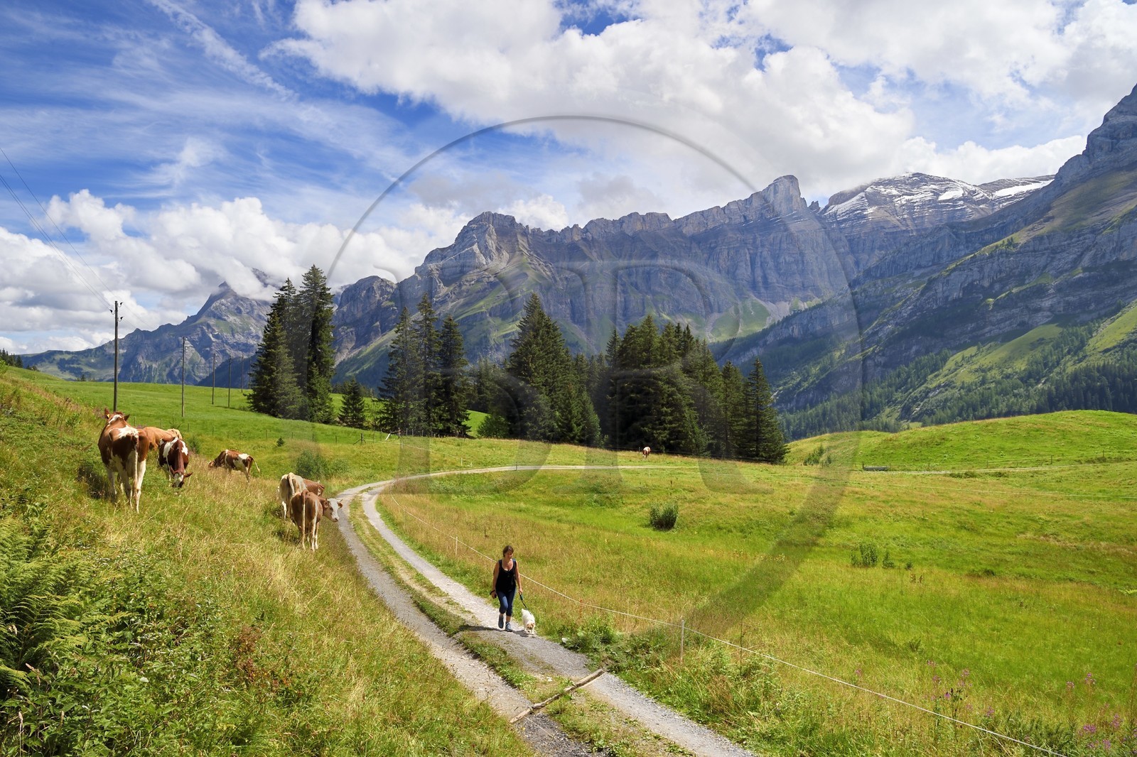 Suisse, Canton de Vaud, Ormont-Dessus, Les Diablerets, randonnée autour du lac Retaud au dessus du Col du Pillon