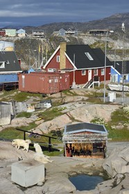 Groenland, cote ouest, baie de Disko, Ilulissat, habitat très divers, chiens de traineau et séchoir à morues
