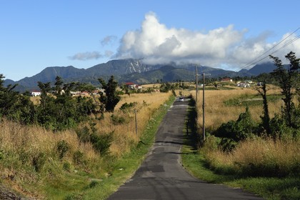 Caraïbes, Ile de la Dominique, sur la route Imperial Road vers Pont-Cassé, la montagne Morne Diablotin en arrière plan