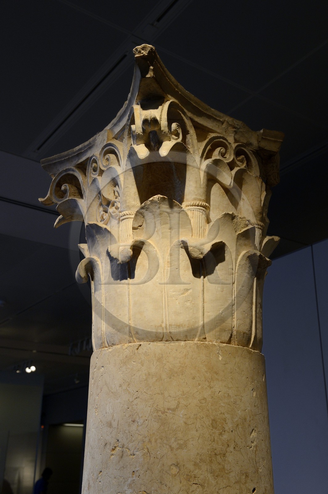 Israel, Jérusalem, quartier de Guivat Ram, musée d'Israel, departement d'archéologie, chapiteau corinthien à partir du 1er siècle avant notre ère