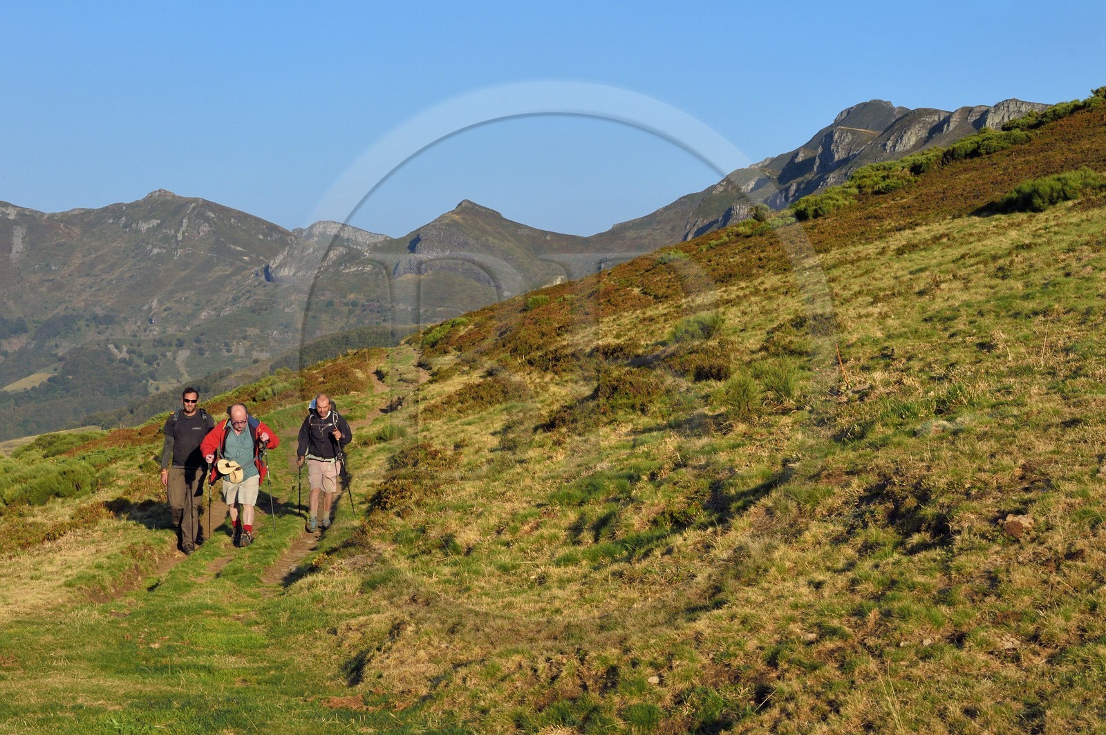 France, Cantal, Parc Naturel Régional des Volcans d'Auvergne (regional nature park of Auvergne volcanoes),  Le Lioran, col de Rombiere (mountain pass), hikers on the Way of St. James to Santiago de Compostela by Via Arverna, the puy de Peyre Arse in the background