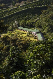 Panama, province de Chiriqui, Boquete, la plantation de café Finca Lerida sur les pentes du volcan Baru, l'hotel