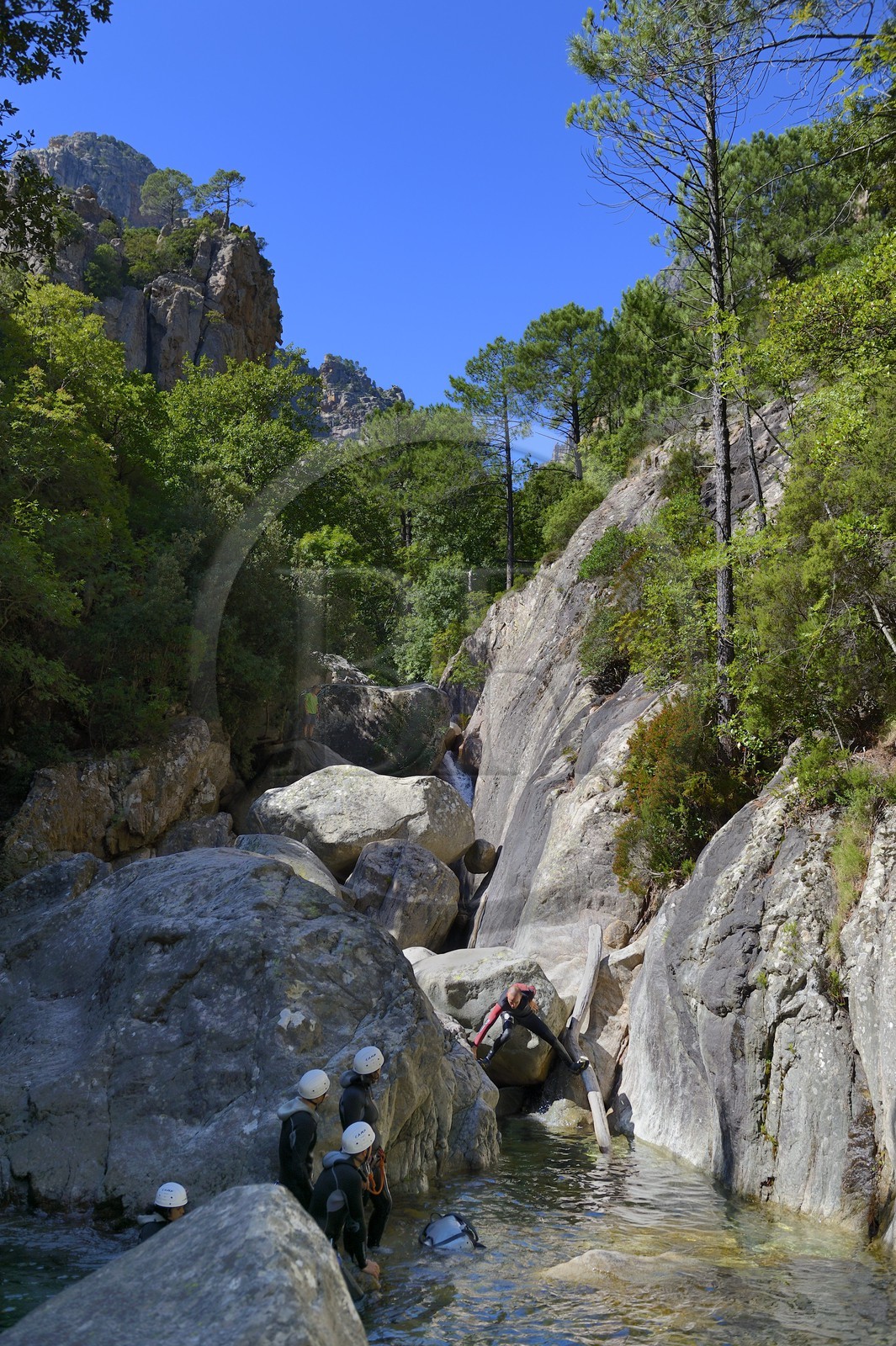 France, Corse-du-Sud (2A), Alta Rocca, Bavella, canyoning dans le torrent de Polischellu