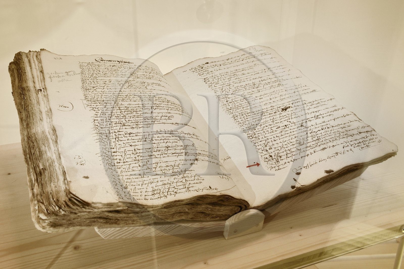 France, Bas Rhin, Strasbourg, Selestat, the Bibliothèque Humaniste (Humanist Library) refurbished by the architect Rudy Ricciotti, 1521, the oldest written mention of the Christmas tree extracted from the register of accounts of the city of Sélestat from 1517 to 1522, there is question of an expenditure of four Schillings to pay the forest guards responsible for watching over the trees in the municipal forests on Saint Thomas' Day and a fine imposed on anyone who cuts the said fir trees