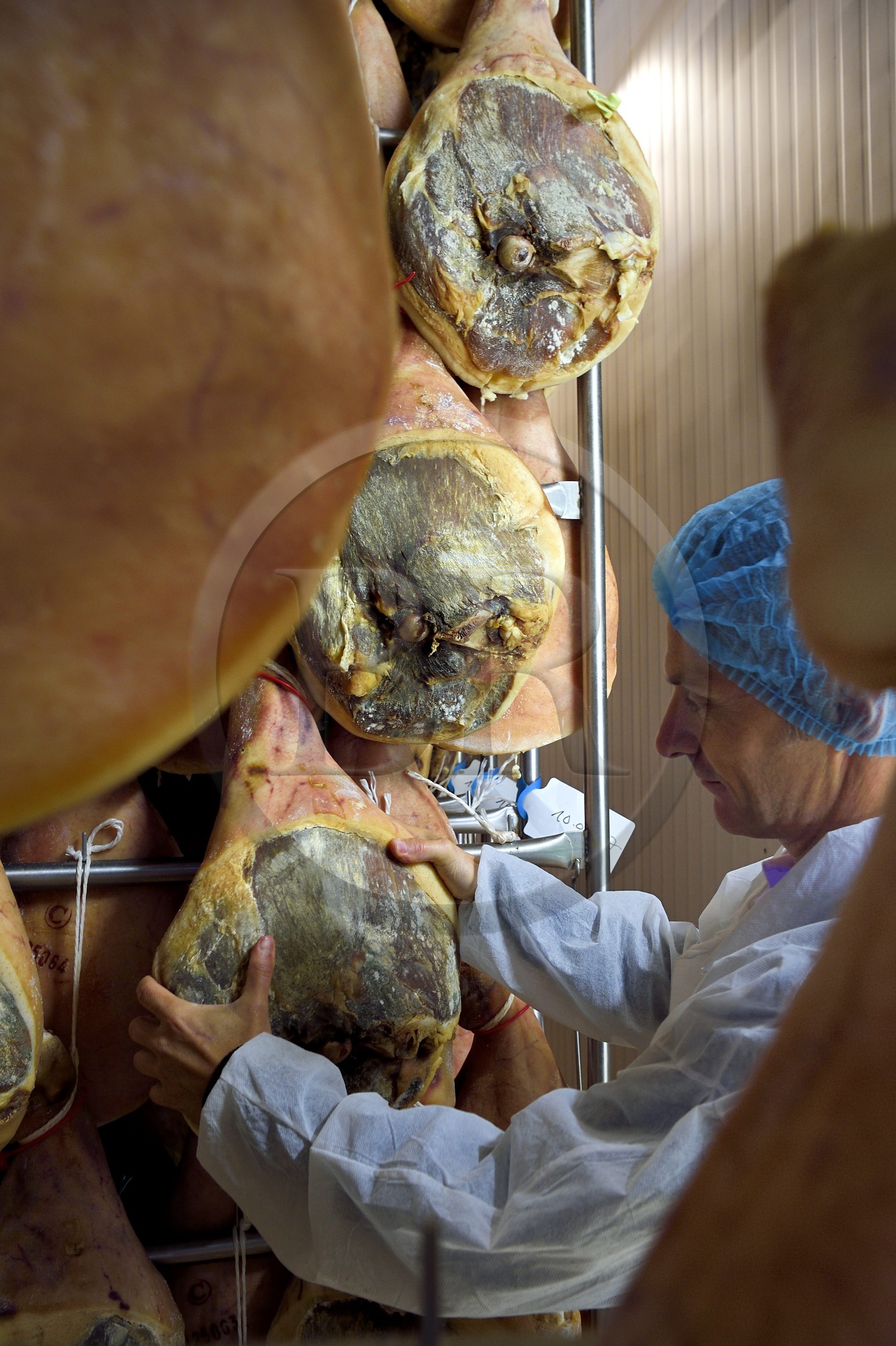 France, Pyrénées-Atlantiques (64), Pays-Basque, vallée des Aldudes, le Séchoir Collectif des Aldudes assure une prestation de séchage et l'affinage de jambons, période dans le séchoir