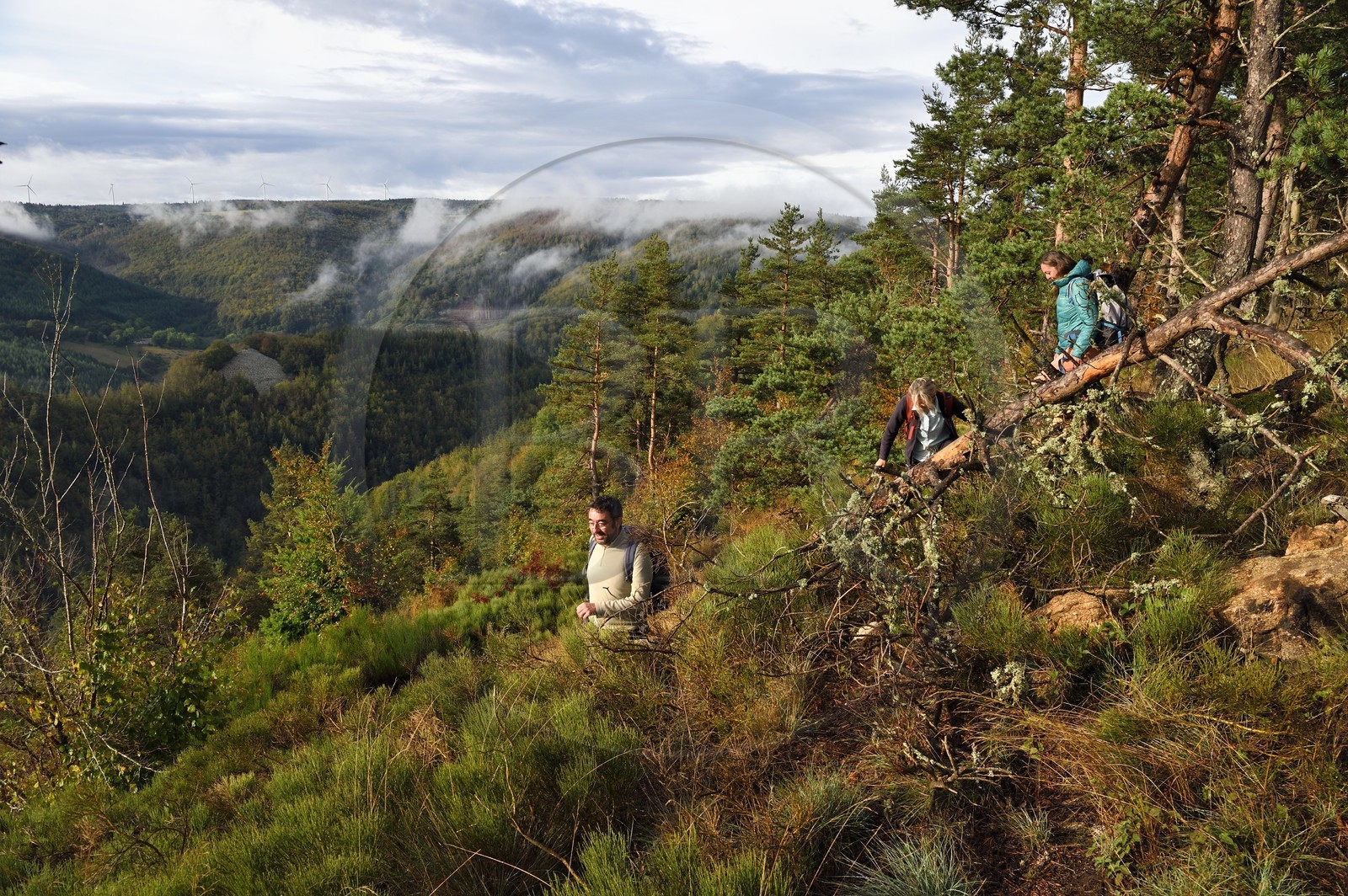 France, Ardèche (07), parc naturel régional des Monts d'Ardèche, massif du Mézenc, forêt de Lac-d'Issarlès, randonneurs au sommet de Montchamp dominant la vallée de la Loire