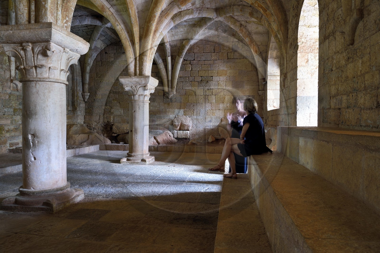 France, Var, the Thoronet cistercian abbey, the cloister chapter house