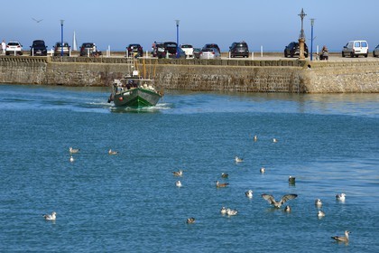 France, Seine-Maritime, Cote d'Albatre (Alabaster Coast), Pays de Caux, Saint Valery en Caux, fishing boat entering the harbor