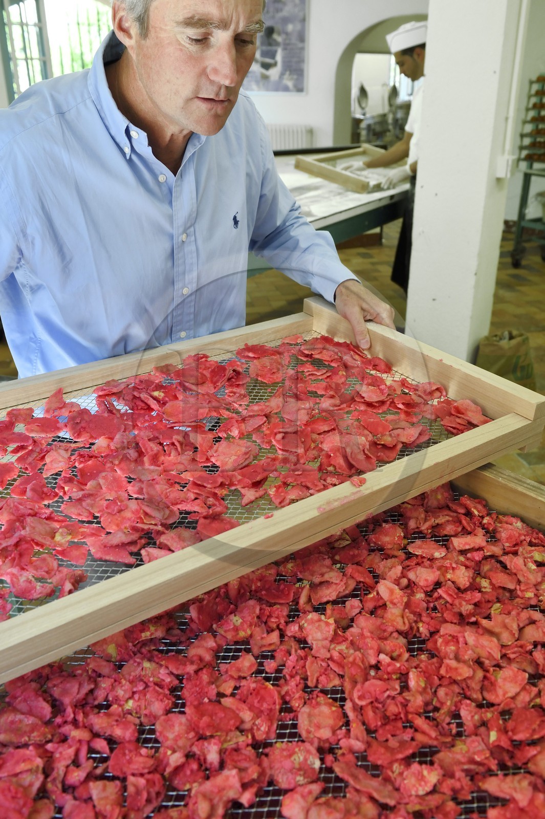 France, Alpes-Maritimes (06), Pont du Loup à Tourrettes-sur-Loup, Confiserie Florian, son directeur Frédéric Fuchs, pétales de roses fraîche trempées dans du sucre glace pour obtenir des roses cristallisées