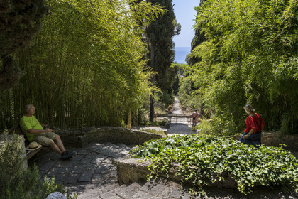 Italie, Ligurie, Province d'Imperia, Vintimille, Jardin botanique Hanbury, allée descendant vers la mer