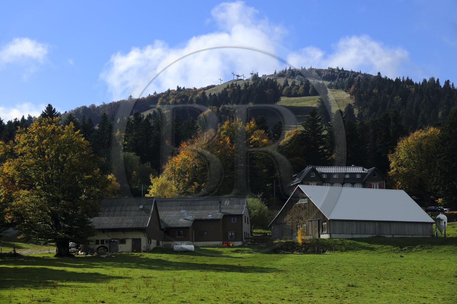France, Haut Rhin, scenic road of la route des Cretes, Rural Inn Marcaire du Grand Hetre