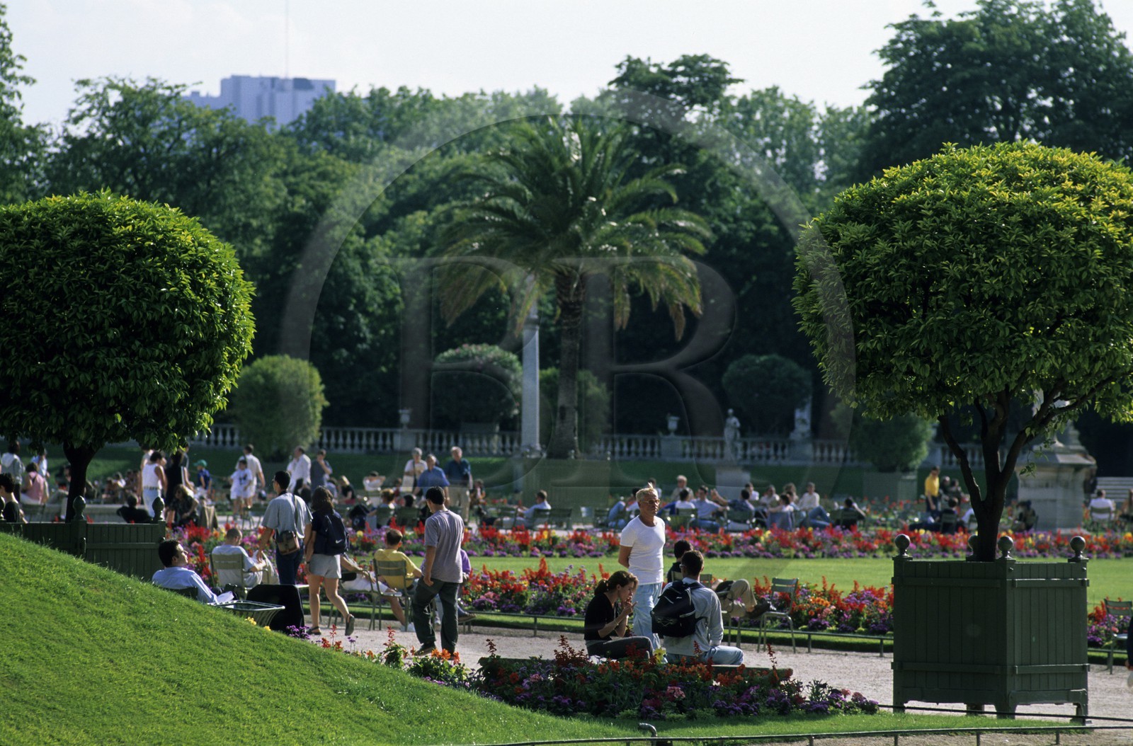 France, Paris (75), les jardin du Luxembourg