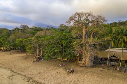 France, Ile de Mayotte, Grande-Terre, Kani-Keli, le Jardin Maoré, baobab (Adansonia digitata) sur la plage de N’Gouja (vue aérienne)