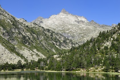 France, Hautes-Pyrénées (65), Saint-Lary-Soulan, Réserve naturelle nationale du Néouvielle, randonnée des lacs du Neouvielle, les Laquettes