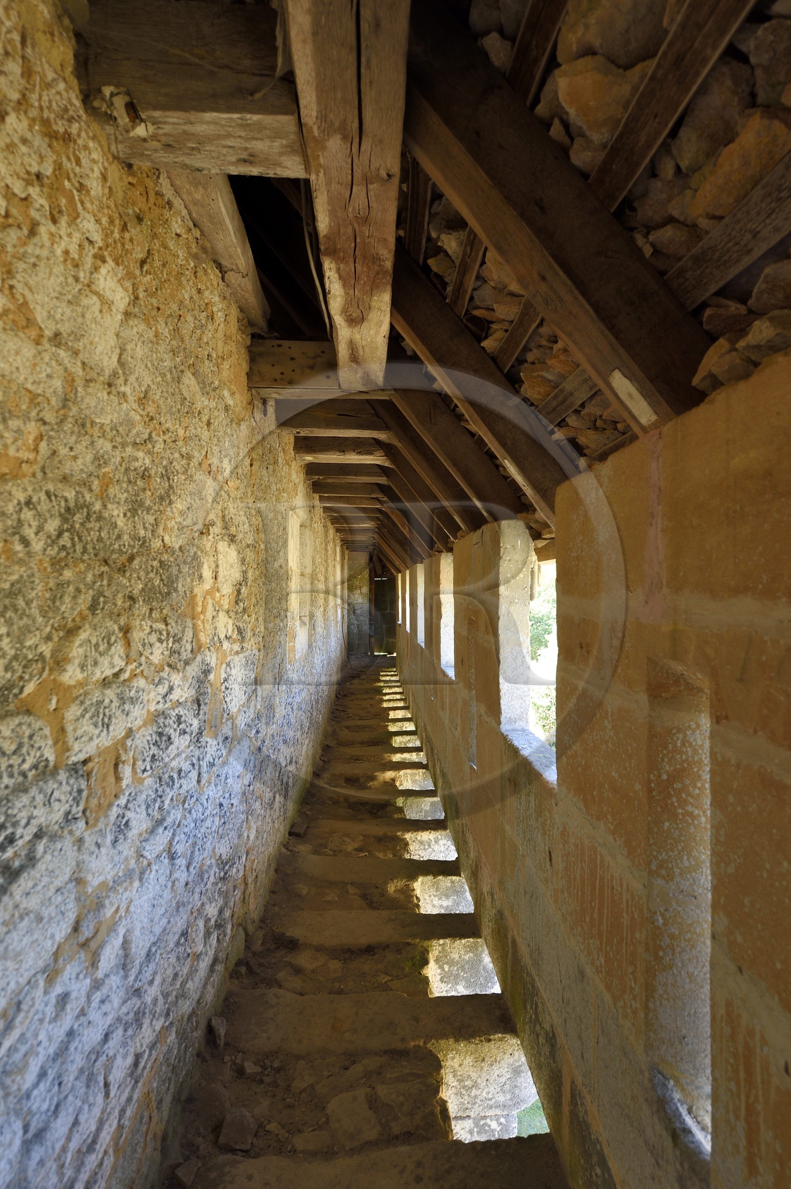France, Dordogne (24), Périgord Noir, vallée de la Dordogne, Marquay, château de Puymartin, reconstruit au XVe siècle après la Guerre de Cent Ans, le chemin de ronde