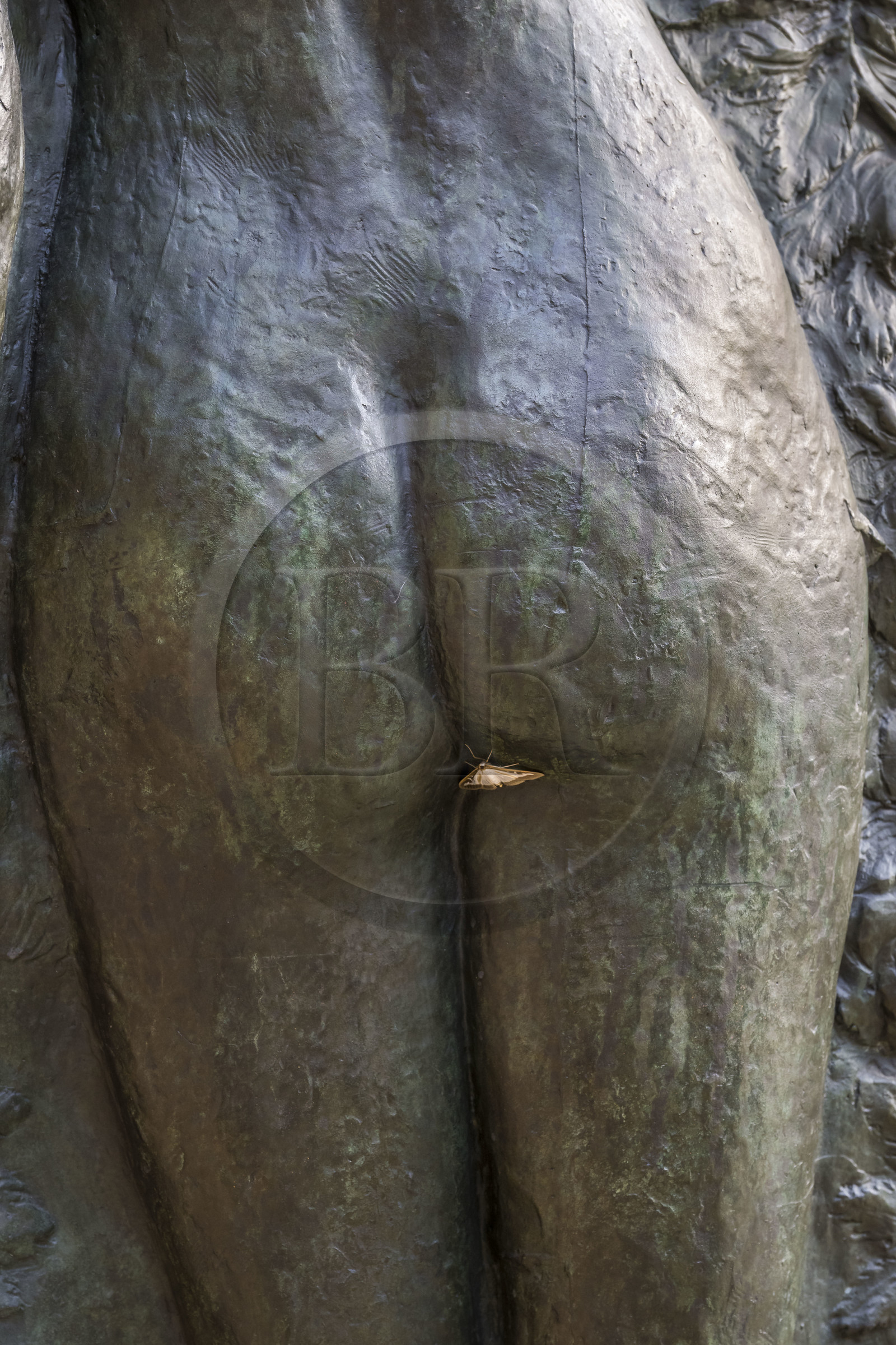 France, Paris (75), le musée du sculpteur Antoine Bourdelle, fesses au papillon, détail d'un bas-relief dans le jardin intérieur (bronze)