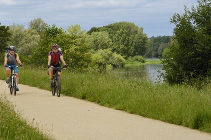 France, Indre et Loire, cycle track on Cher river banks between Savonnieres and Villandry