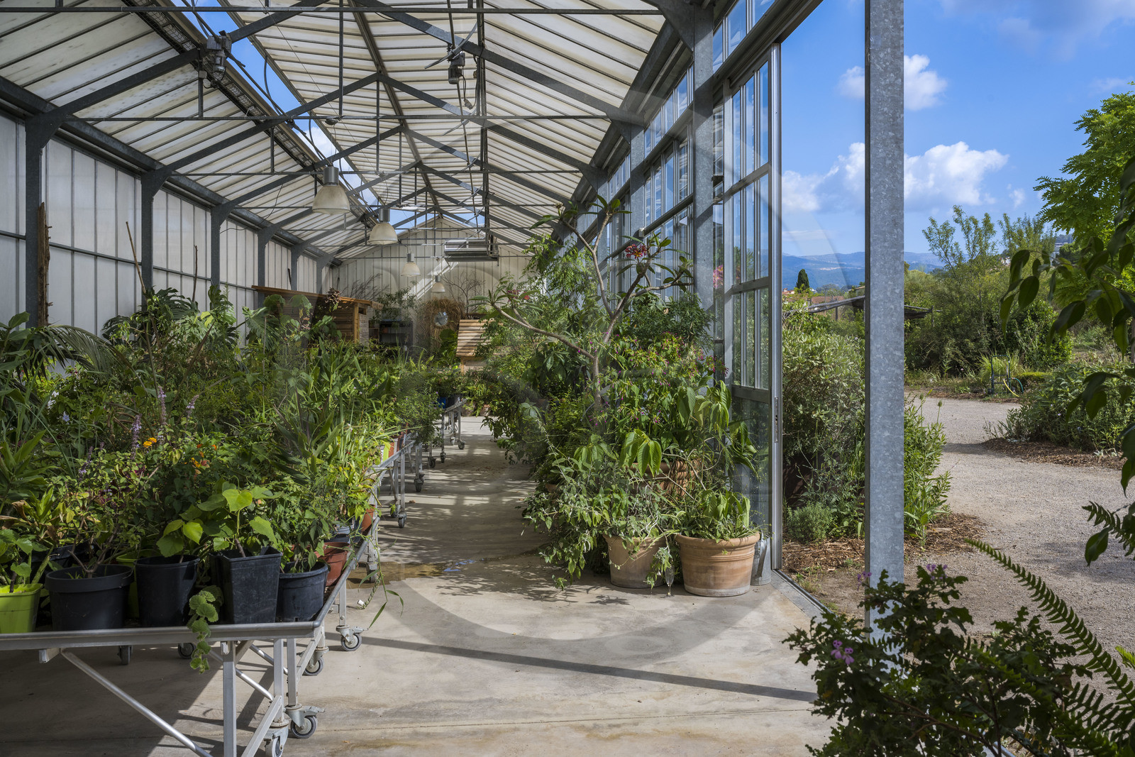 France, Alpes-Maritimes (06), Mouans-Sartoux, Jardins du Musée International de la Parfumerie​ (MIP)