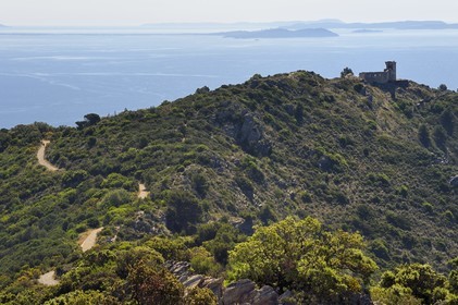 France, Var (83), La Seyne-sur-Mer, randonnée dans le massif du Cap Sicié vers la chapelle Notre-Dame du Mai, l'ancien sémaphore du cap, la presqu'ile de Giens et les iles d'Hyères en arrière plan