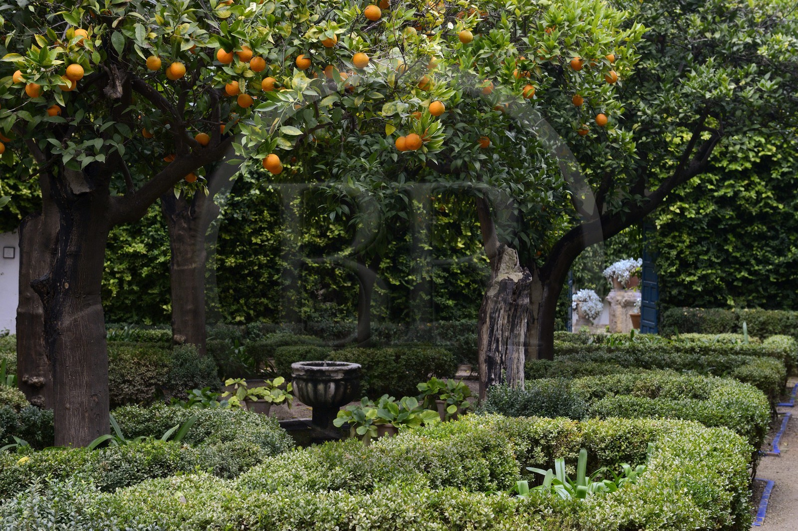 Espagne, Andalousie, Cordoue, Palais de Viana, patio des orangers