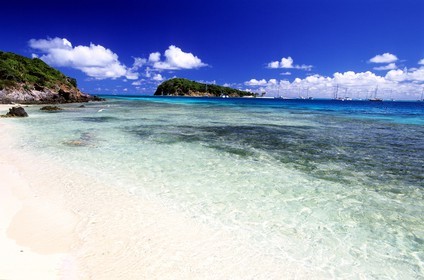 Caribbean sea, St Vincent and the Grenadines, Tobago Cays archipelago, beach of one of many uninhabited island