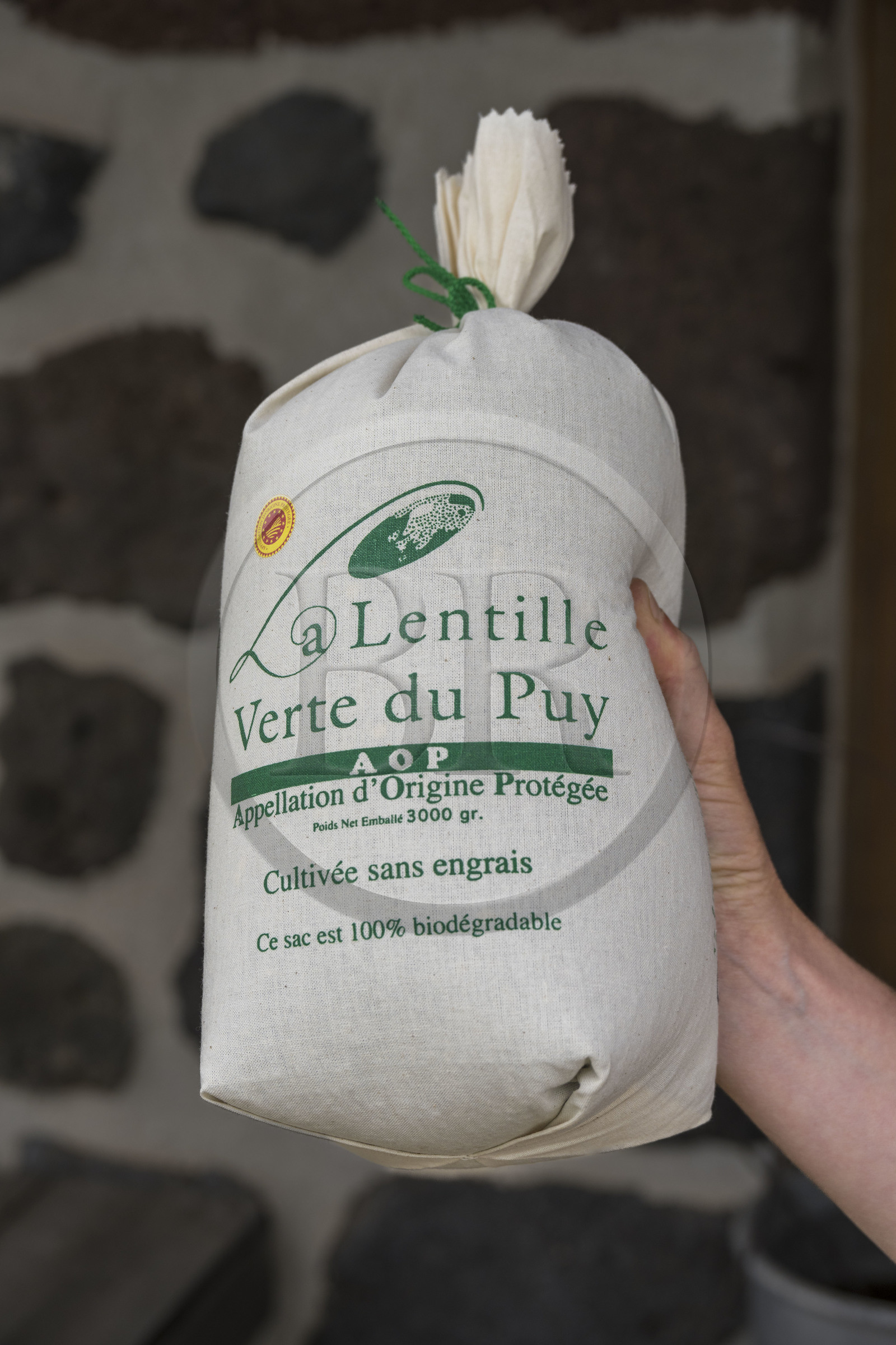 France, Haute-Loire (43), Bouchet-Saint-Nicolas, hiking with a donkey on the Robert Louis Stevenson Trail (GR 70), meeting with Emilie and Pierre Villesèche from L'Arrestadou who grow green lentils from Le Puy