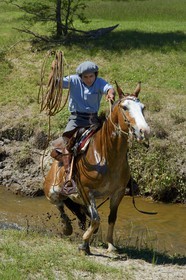 Argentine, province de Buenos Aires, San Antonio de Areco, estancia La Bamba de Areco, gaucho au travail remontant la rivière