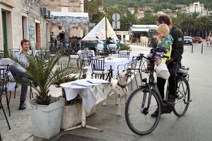 Croatie, Dalmatie, cote dalmate, Ile de Vis, village de Vis, chien dalmatien et son maitre