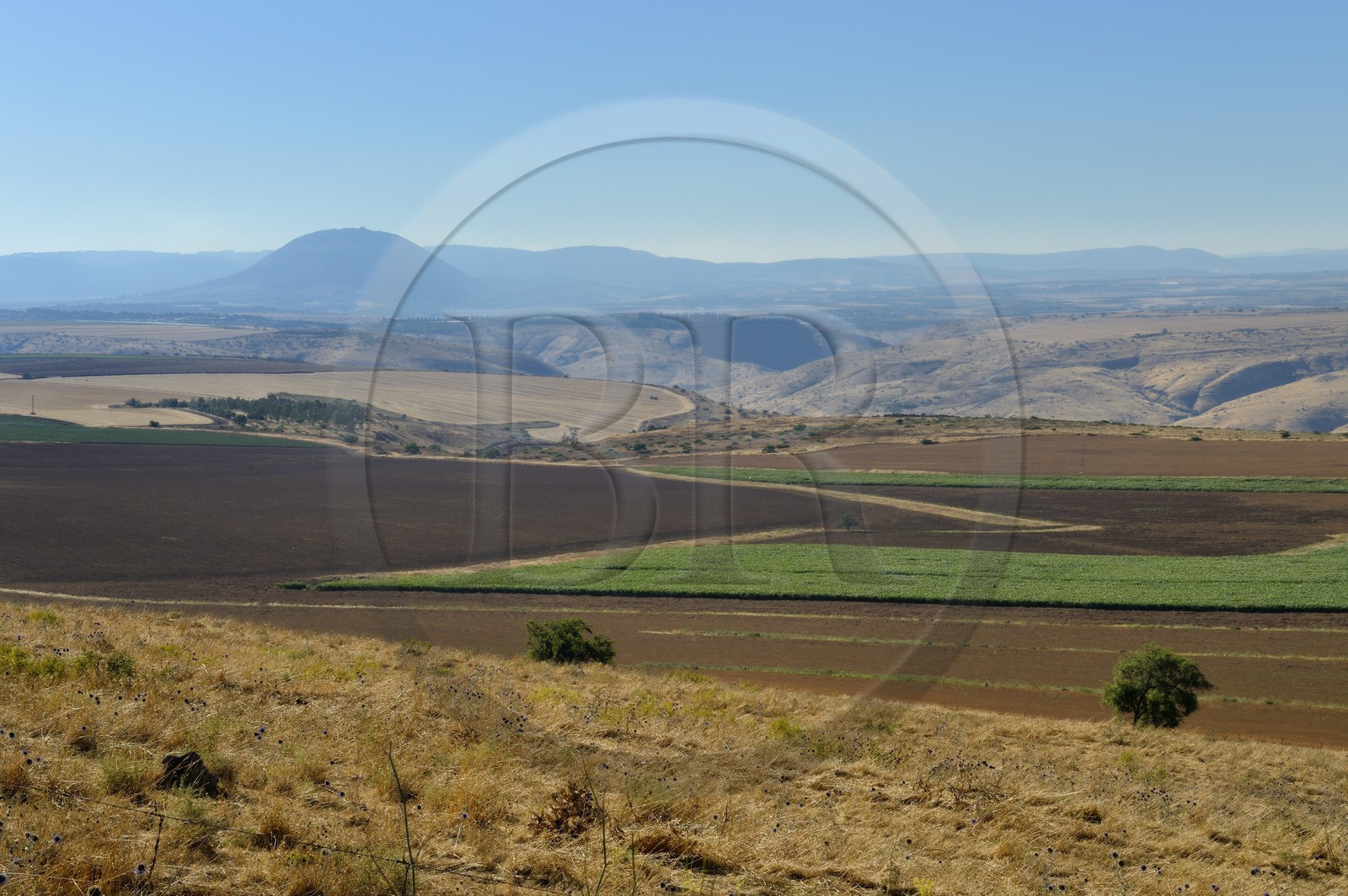 Israel, district du nord, Basse Galilée, réserve naturelle de Kokhav ha-Yarden et le Mont Thabor (Tabor) en arrière plan