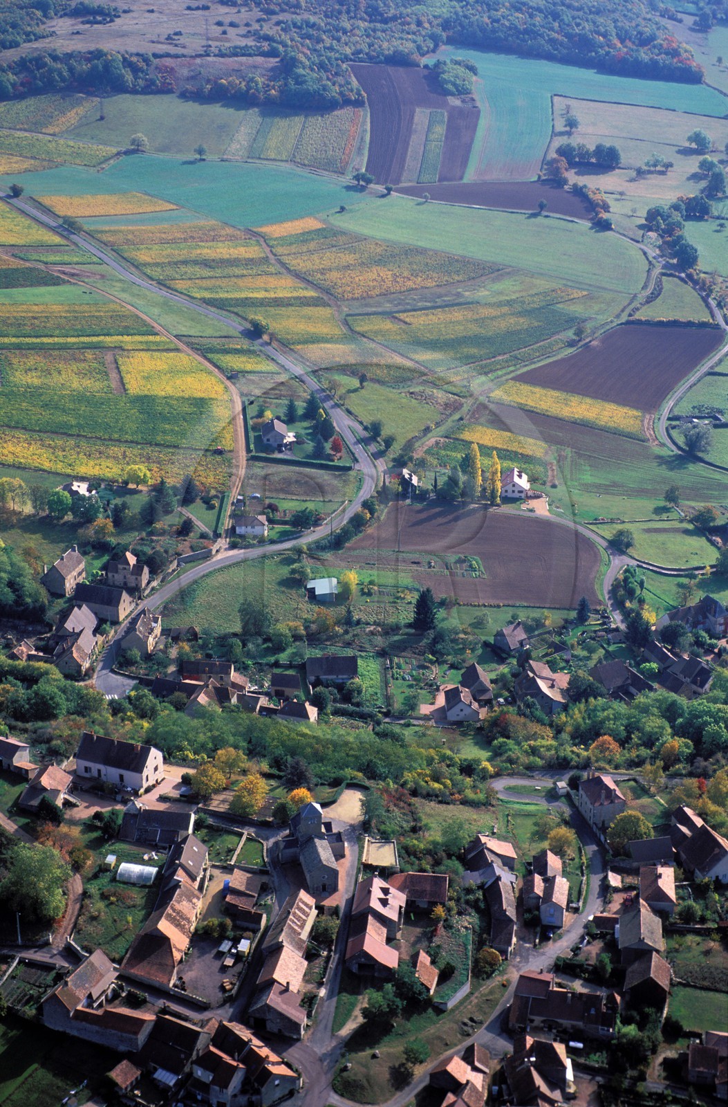France, Saône-et-Loire (71), vignes du Chalonnais et village de Chenôves (vue aérienne)