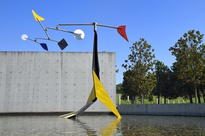 France, Bouches-du-Rhône (13),  Le Puy Sainte Réparade, Chateau La Coste domaine viticole et centre d'art contemporain, Centre d'Art de l'architecte Tadao Ando, mobile Small Crinkly de Alexander Calder (Mention Obligatoire)