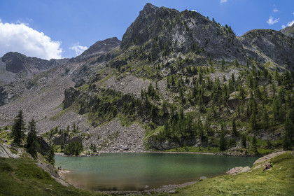 France, Alpes-Maritimes (06), parc national du Mercantour, Haute-Vésubie, Saint-Martin-Vésubie, Val du Haut Boréon, lac de Trécolpas (2150m)