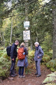 France, Haut-Rhin (68), Thannenkirch, randonnée dans le massif du Taennchel, panneau d'orientation du GR 532