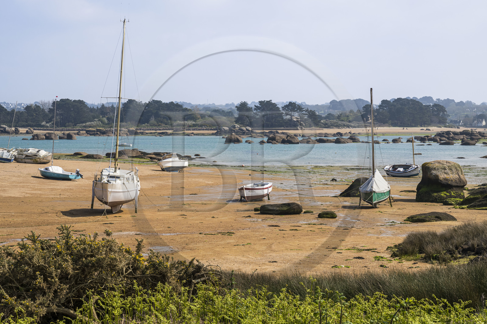 France, Côtes-d'Armor (22), Côte de Granit Rose, Trégastel, Ile Renote, la plage à marée basse