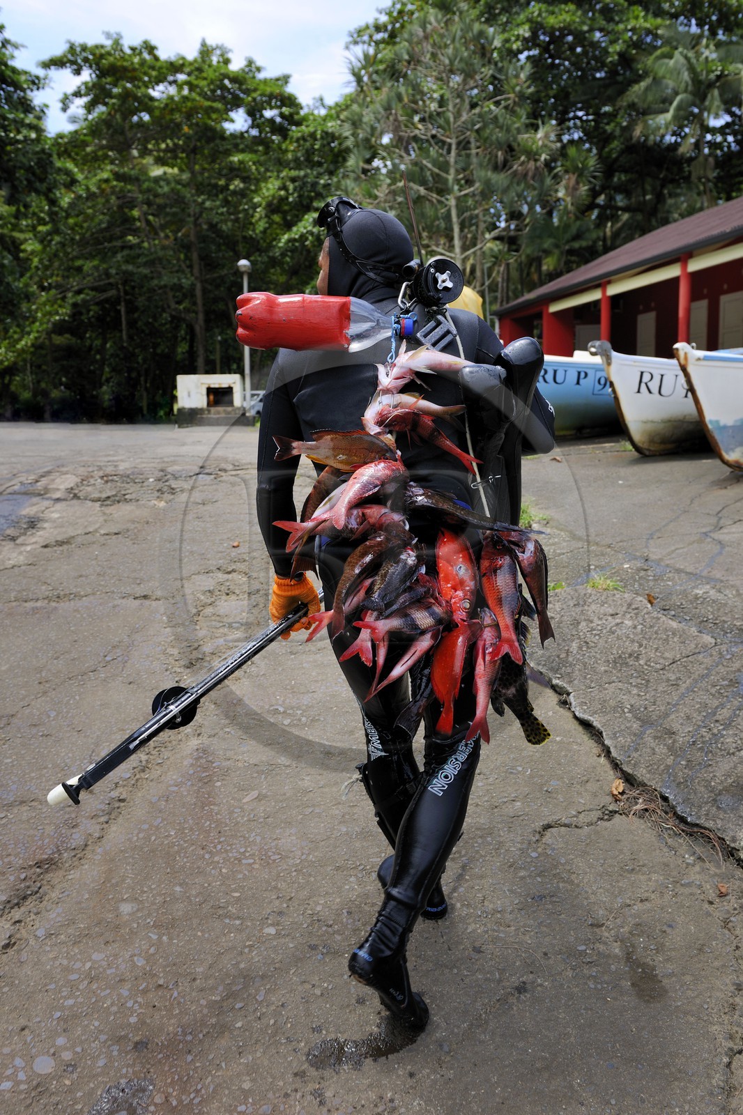 France, île de la Réunion, anse des Cascades, au sud de Piton-Sainte-Rose, classé Patrimoine Mondial de l'UNESCO, retour de pêche au harpon