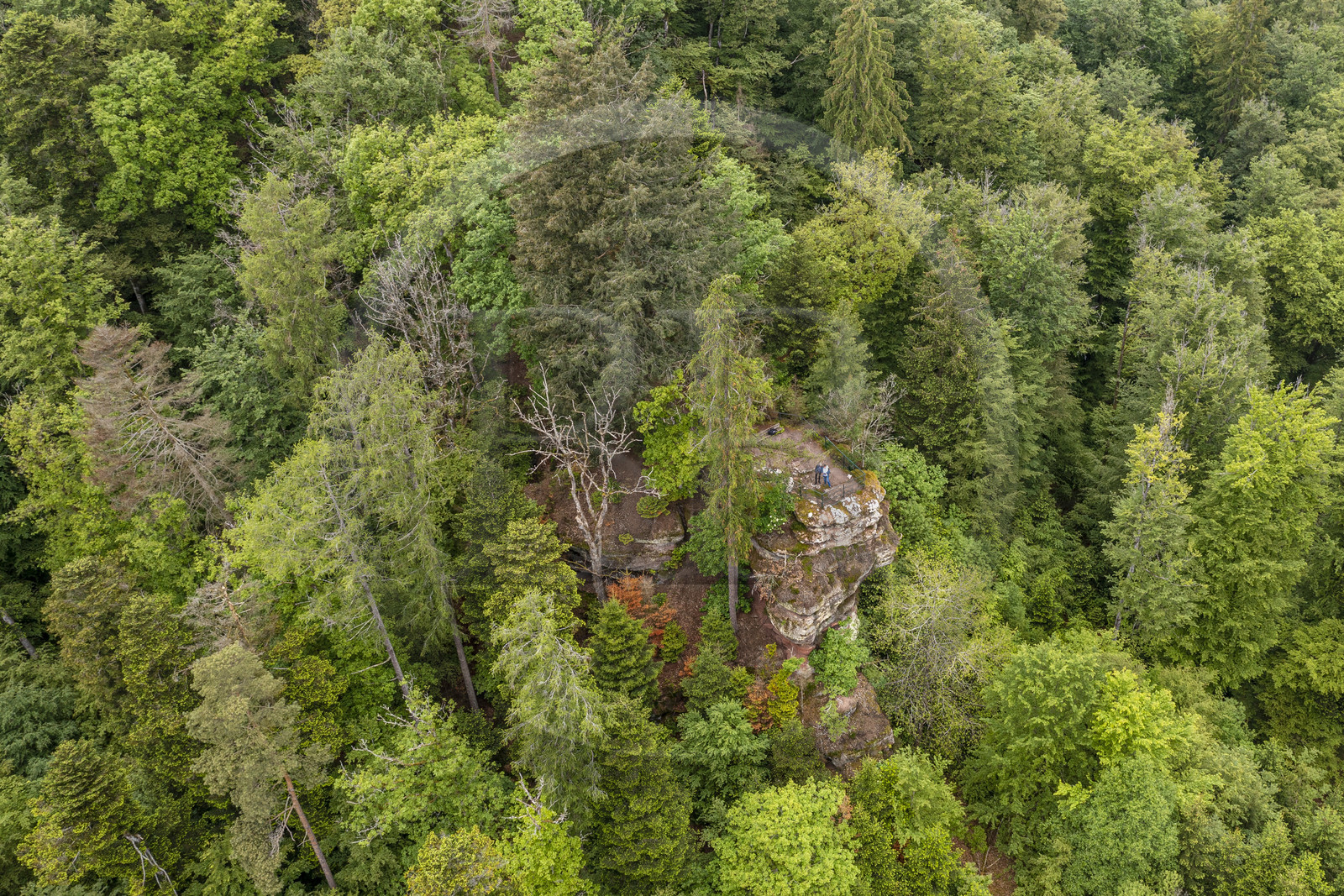 France, Bas-Rhin (67), Parc Naturel régional des Vosges du Nord, La Petite Pierre, le Rocher Blanc, rocher de grès rose du sentier des Trois Roches auquel le lichen clair a donné son nom (vue aérienne)