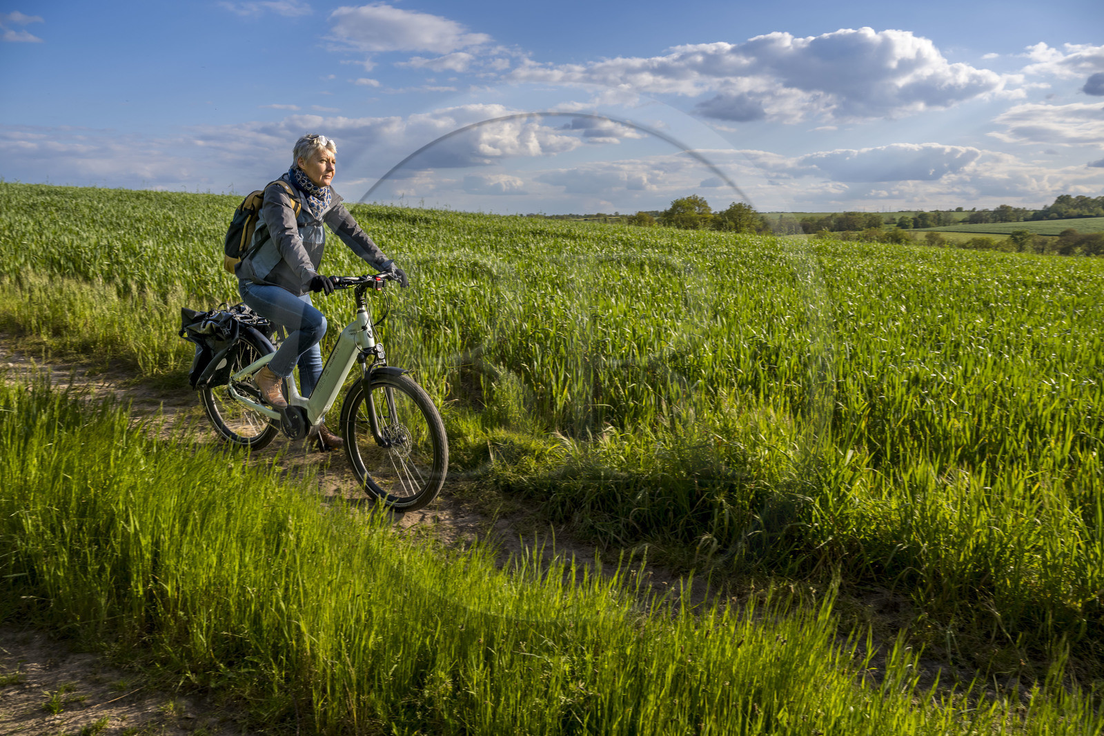France, Vendée (85), Saint-Aubin-des-Ormeaux, sur la piste de la véloroute Vendée Vélo Tour