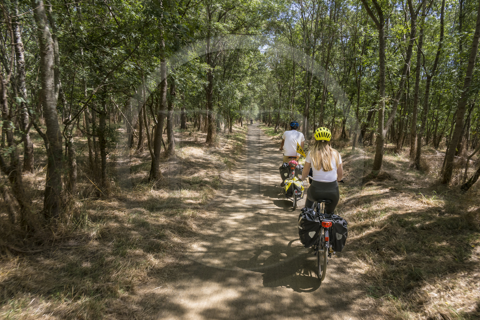 France, Maine-et-Loire, Loire valley listed as World Heritage by UNESCO, Dampierre to the east of Saumur, cycling along the banks of the Loire on the Loire à Vélo cycle path, bike with a trailer carrying camping equipment