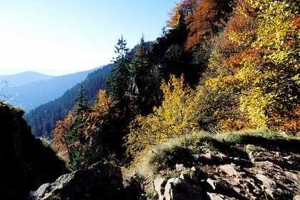 France, Haut-Rhin (68), massif des Vosges vers le col de la Schlucht, le sentier des roches