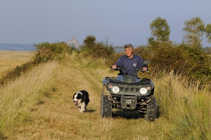 France, Ille et Vilaine, the green way of Mont Saint Michel, Yannick Frain, farmer and breeder of salt marshes sheep