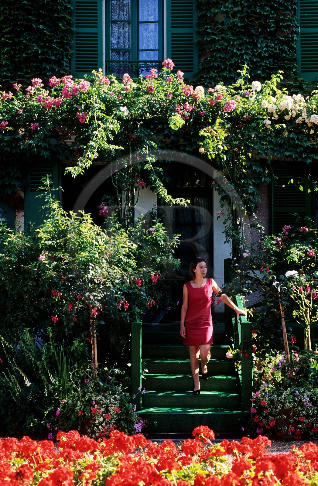 France, Eure (27), Giverny, jardin de Claude Monet