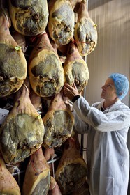 France, Pyrenees Atlantiques, Basque Country, Aldudes valley, the Aldudes collective dryer ensures the drying and the ripening of hams, period in the dryer