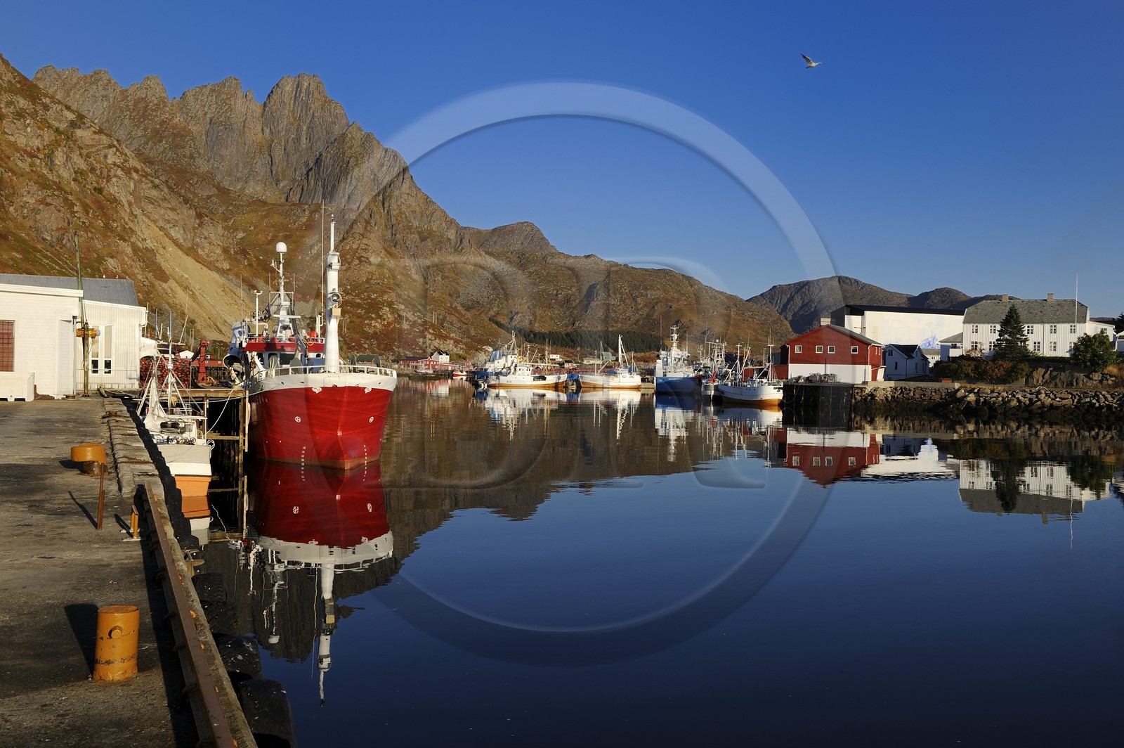 Norvège, Nordland, Iles Lofoten, port de pêche de Ballstad dans l'île de Vestvagoy
