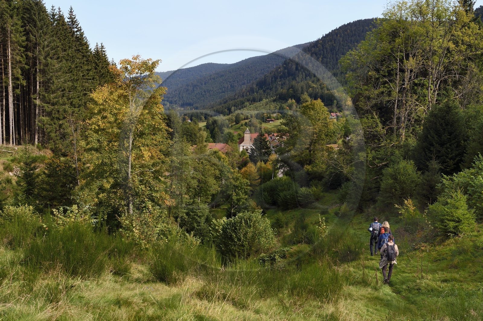 France, Vosges (88), Le Valtin, randonnée dans la vallée du Valtin dans la haute-vallée de la Meurthe sur le sentier des panoramas du Valtin