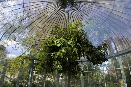 France, Paris (75), square des Batignolles, kiosque