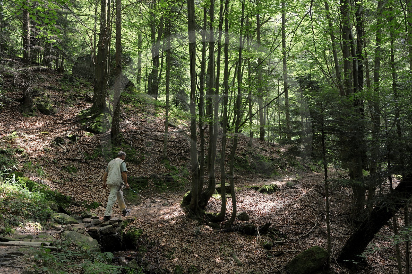 France, Vosges (88), chemin des passeurs au Donon sur la trace de la filière d'évasion du Rehtal