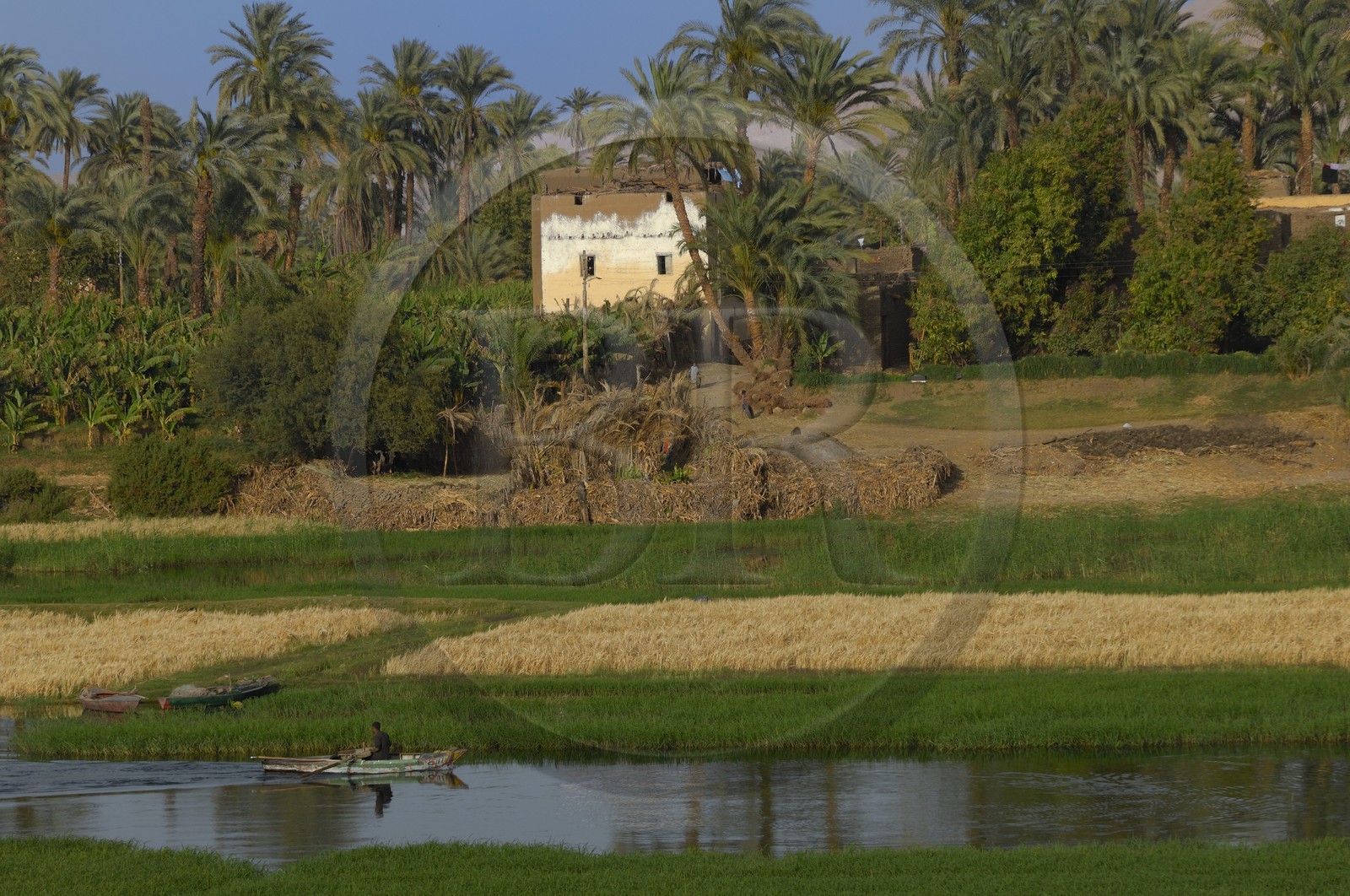 Egypte, Haute Egypte, vallée du Nil, barque de pêcheur sur le Nil entre Louxor et Esna