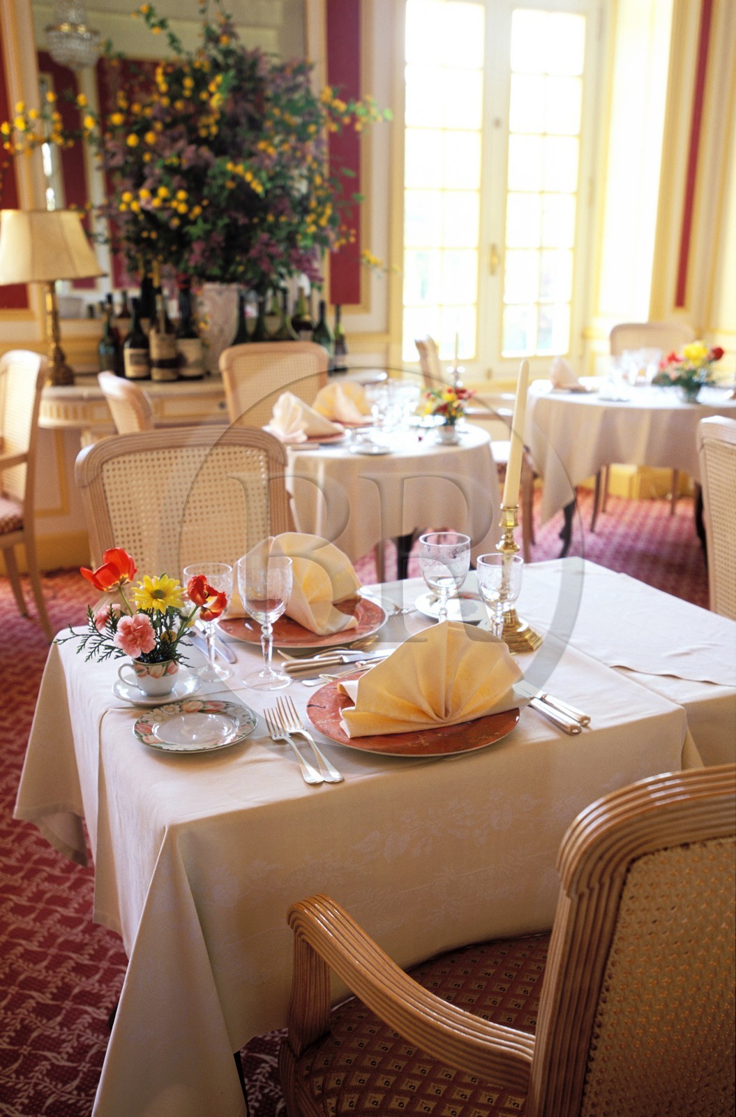 France, Haute-Saône (70), village de Gray, l' hôtel restaurant du château de Rigny