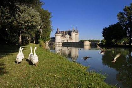 France, Loiret (45), Vallée de la Loire classée Patrimoine Mondial de l' UNESCO, Sully-sur-Loire, château du XIVe XVIIe siècles, mention obligatoire : Châteaux de Sully-sur-Loire, propriété du département du Loiret