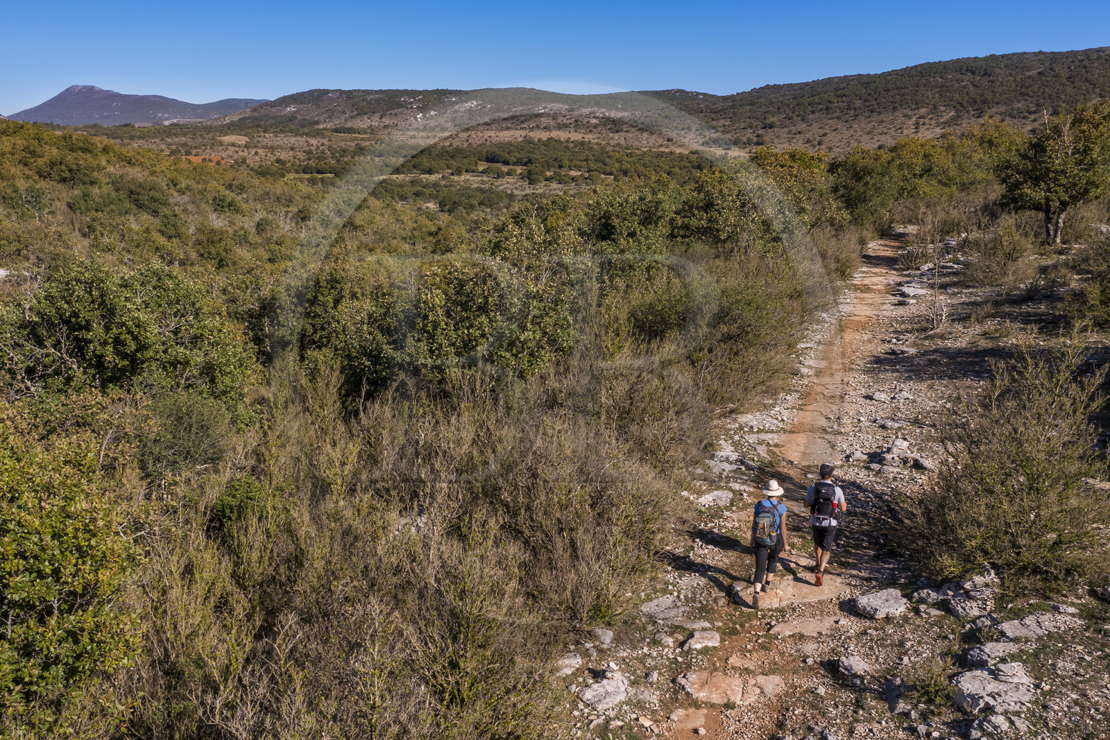 France, Hérault (34), les Causses et les Cévennes, paysage culturel de l'agro-pastoralisme méditerranéen inscrit au Patrimoine Mondial de l'UNESCO, Saint-Maurice-Navacelles, randonneurs progressant sur le GR 7 dans un paysage typique du causse du Larzac, le massif de la Séranne qui s'est formé sur une barrière corallienne en arrière plan (vue aérienne)